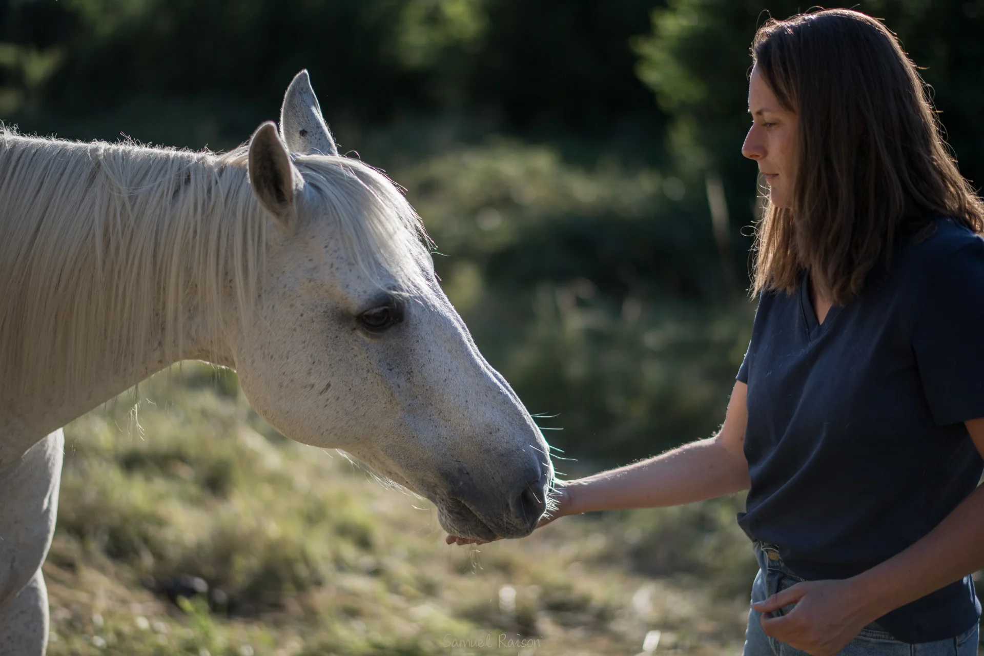 Carole Drevet, Ostéopathe animalière