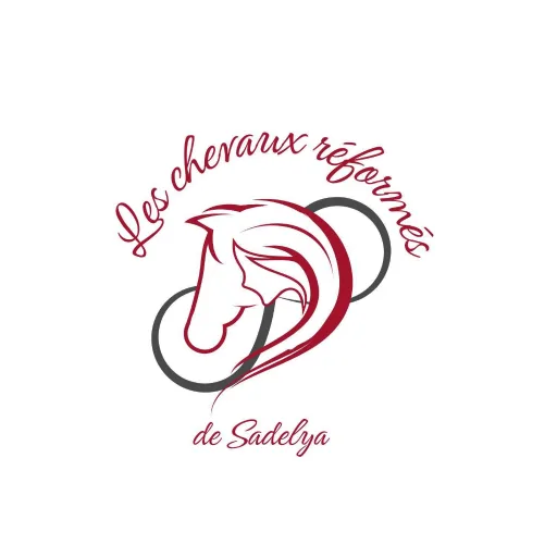 Les chevaux réformés de sadelya