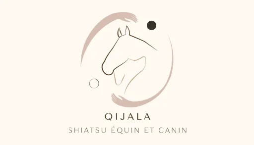 Qijala Shiatsu