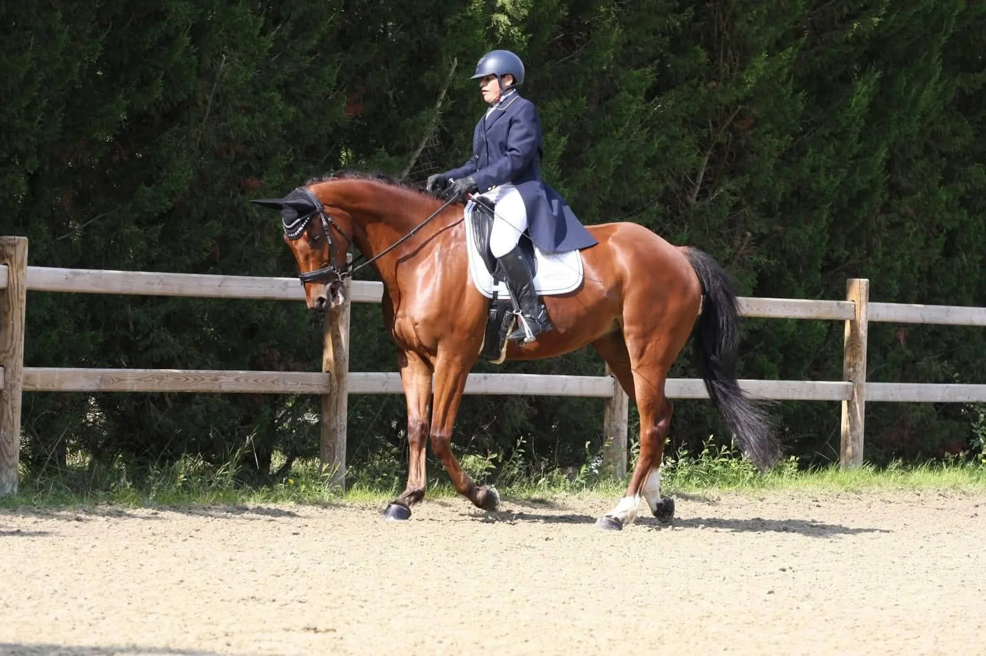 JACOB VIOLETTE COACH ÉQUESTRE BEES1 GALOP 9